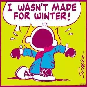 Meet your Posher, Angi